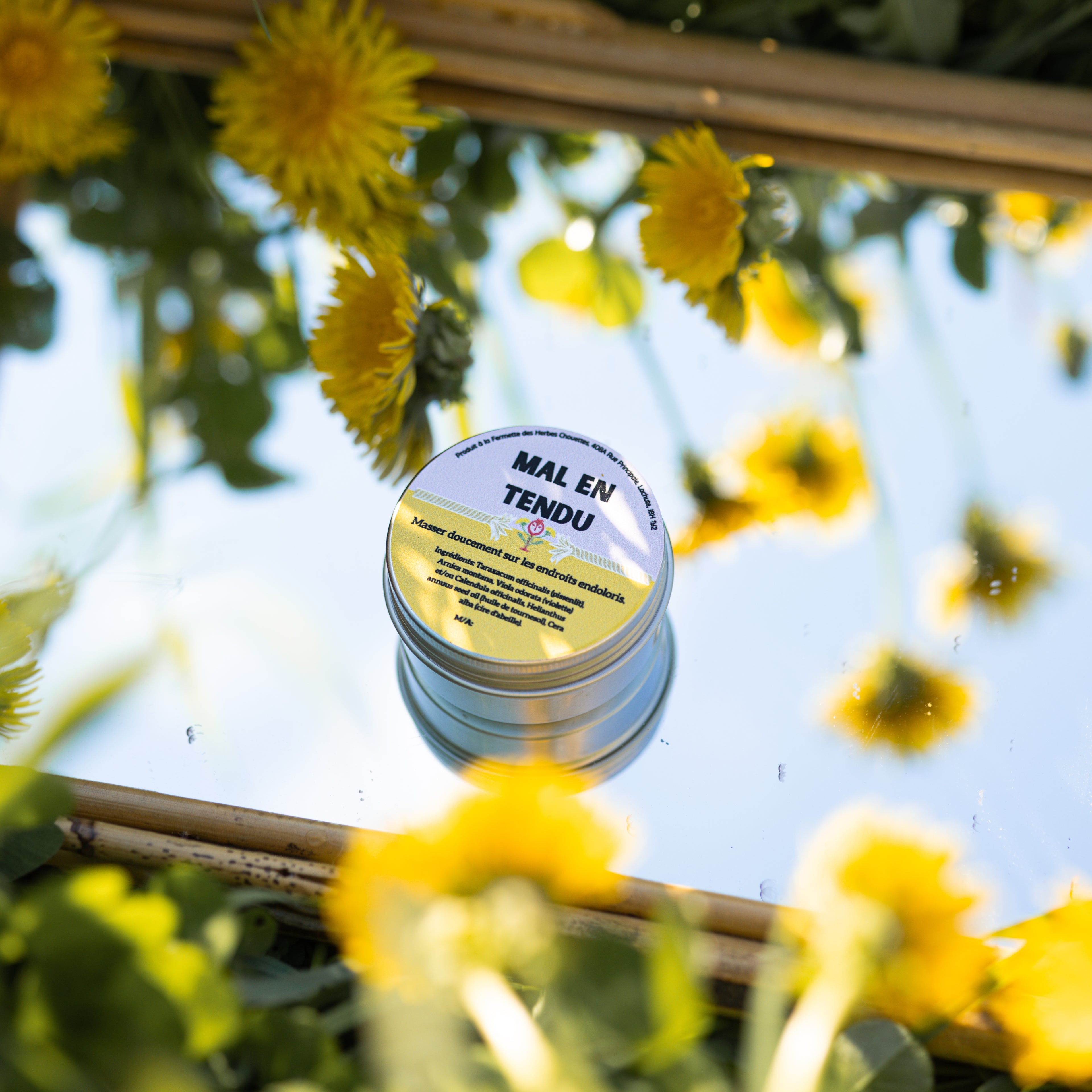 Baume Mal en Tendu