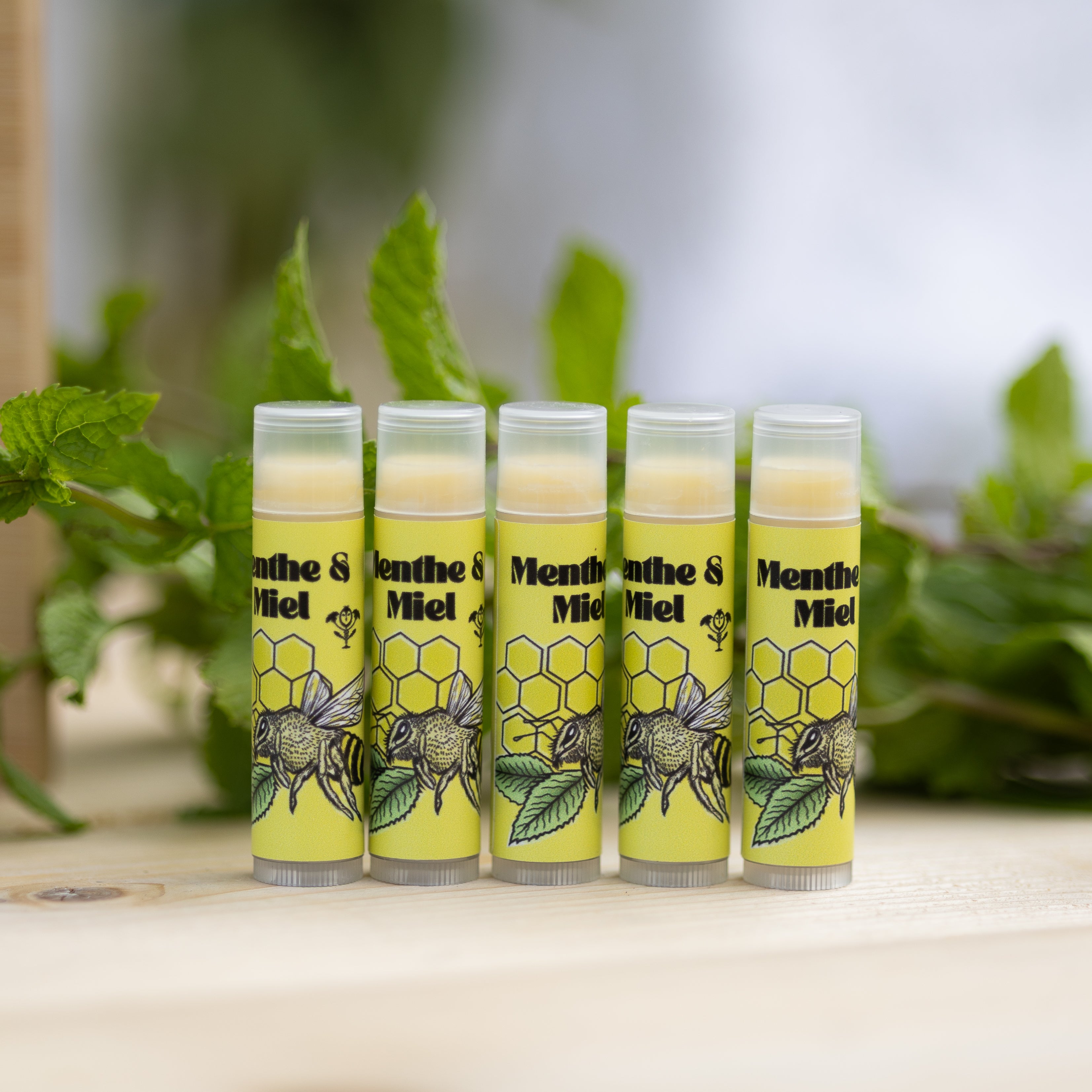 Baume à lèvres menthe & miel
