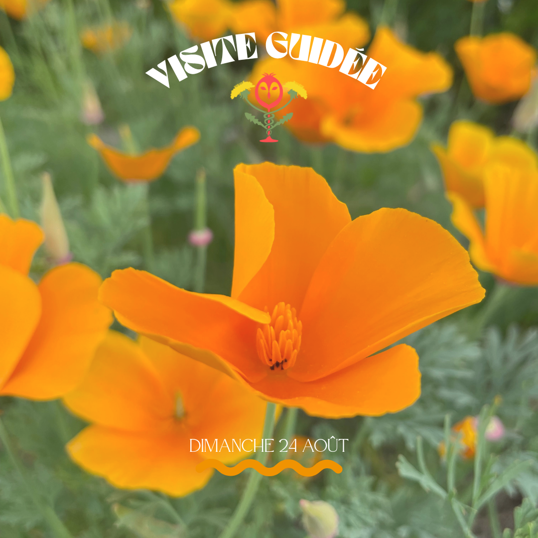 Visite Guidée de la ferme - Guided Farm Tour