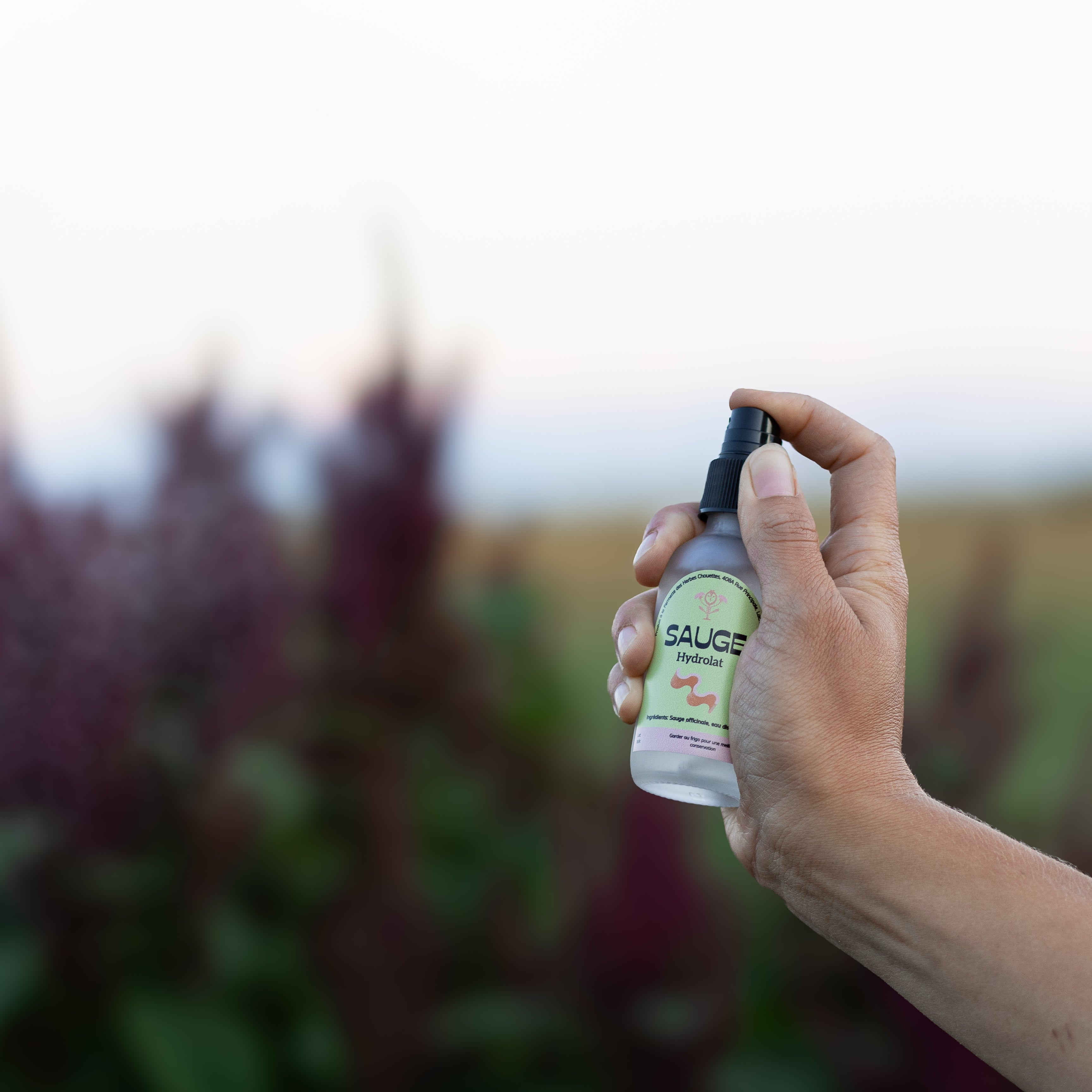 Hydrolat de sauge