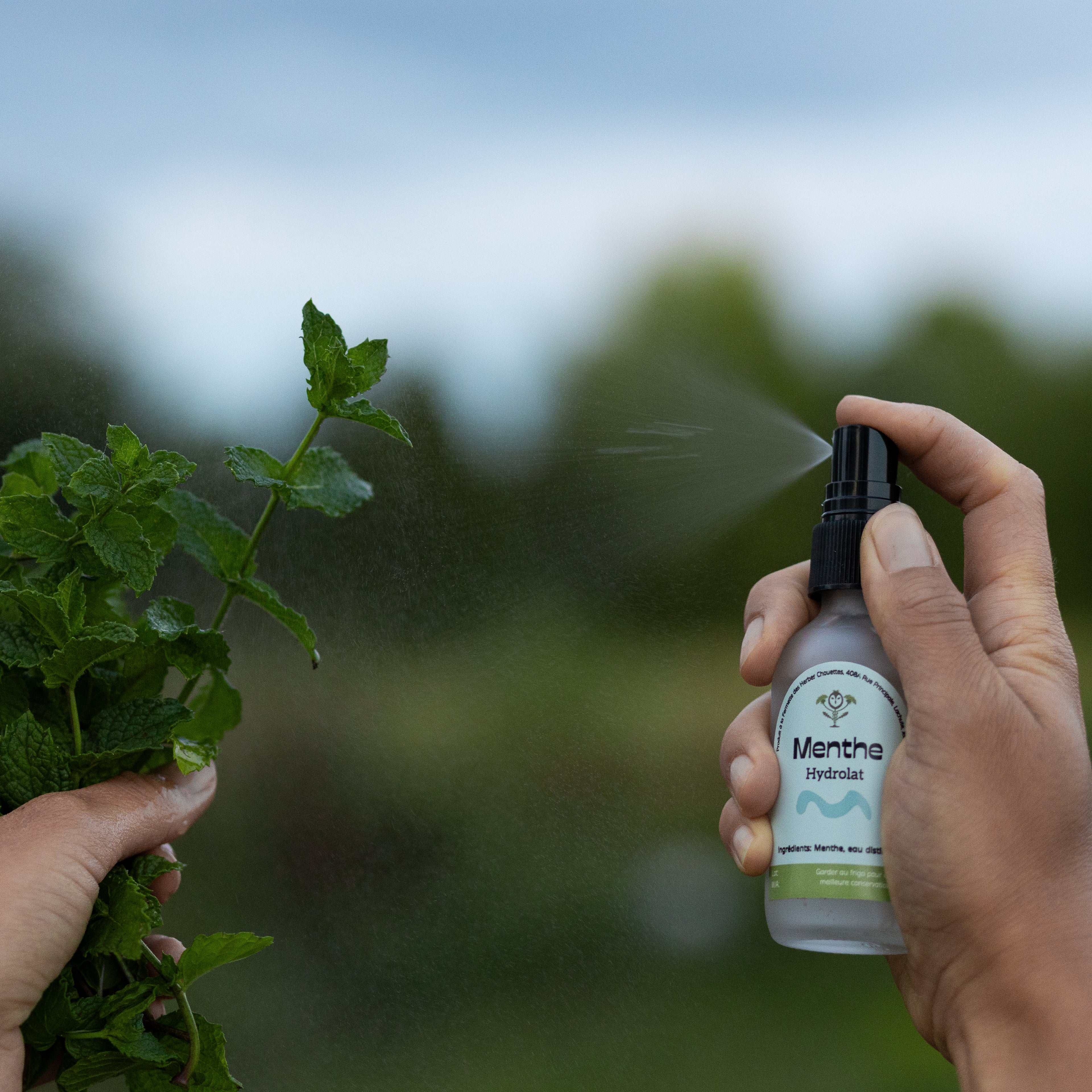 Hydrolat de menthe poivrée