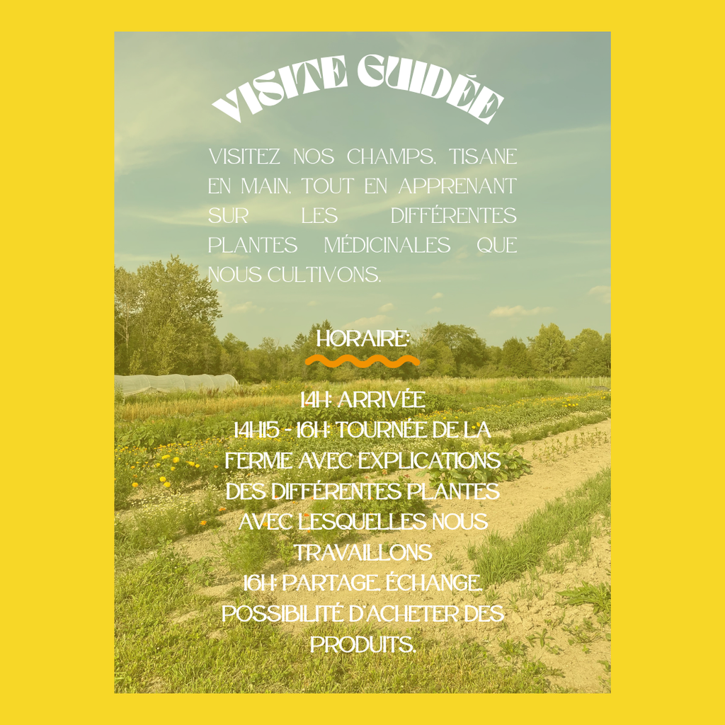 Visite Guidée de la ferme - Guided Farm Tour