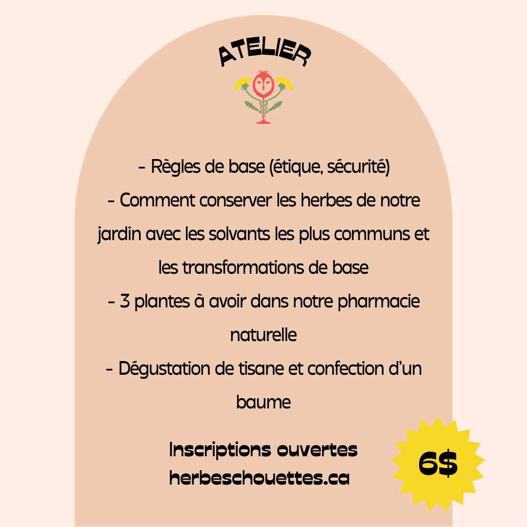 Atelier d'herboristerie - 30 septembre 2023