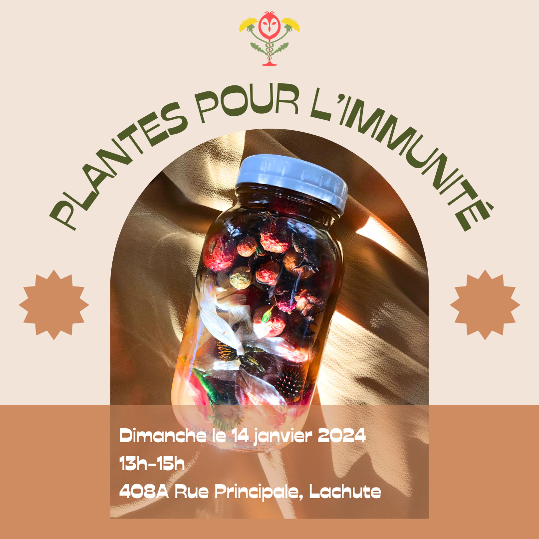Atelier - Plantes pour l'immunité