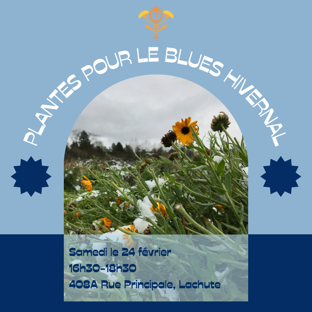 Atelier - Plantes pour le blues hivernal