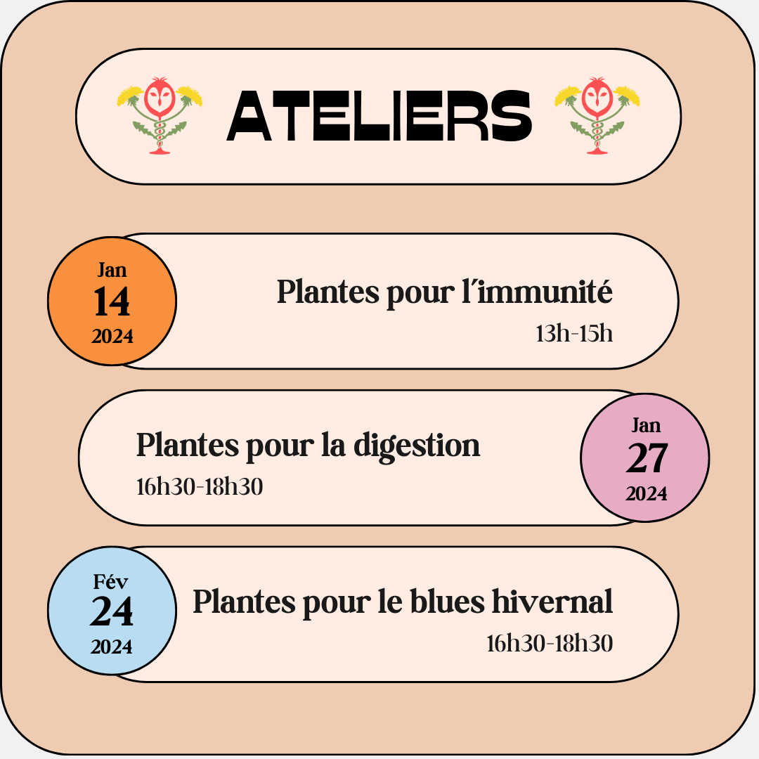 Trio d'ateliers - 15% de rabais