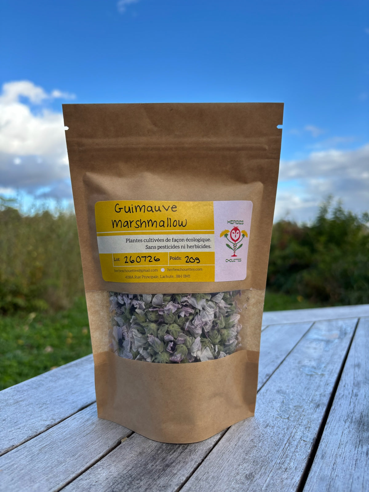 Fleurs de guimauve séchées